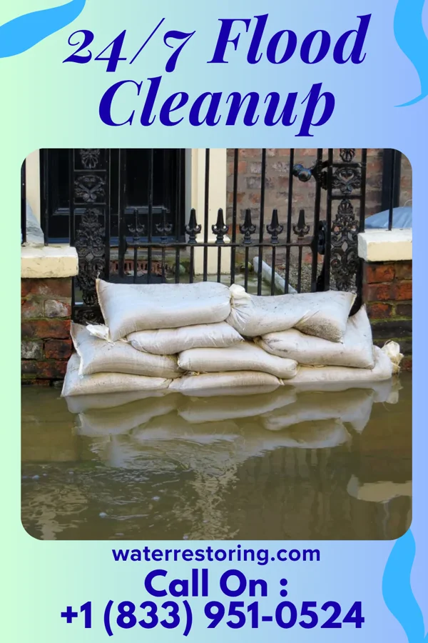 24/7 Flood Cleanup in Obion, TN