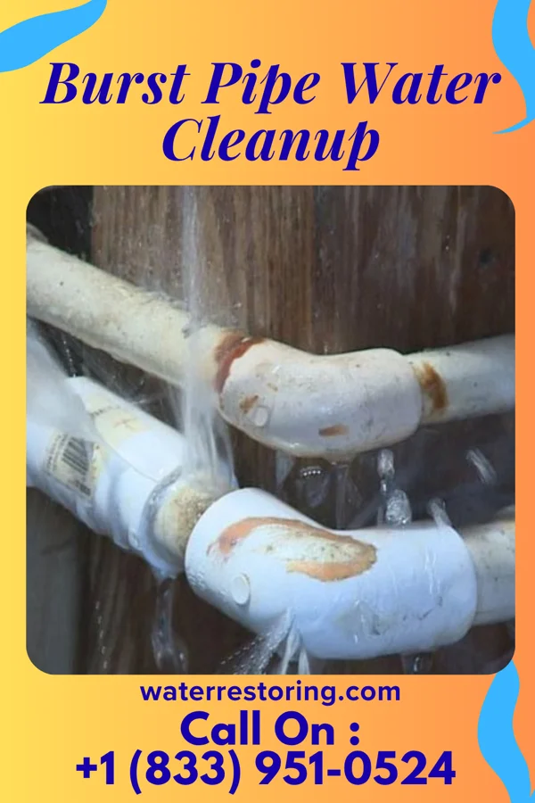 Burst Pipe Water Cleanup in Obion, TN