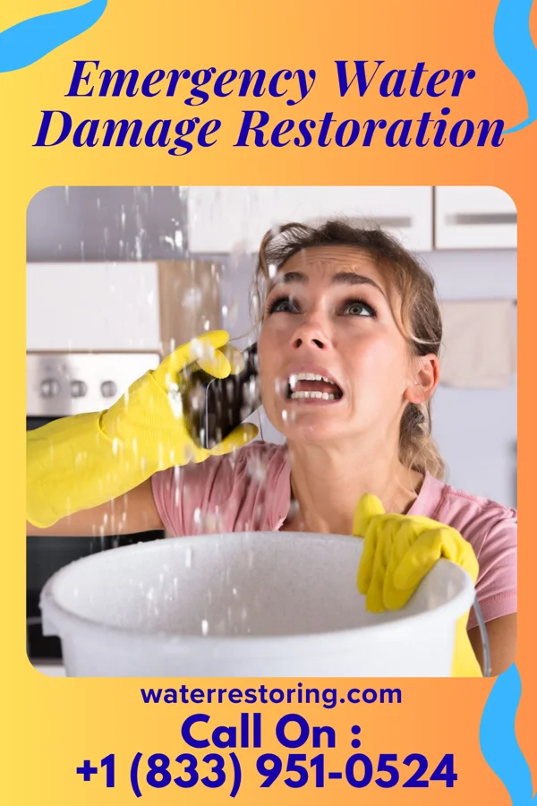 Emergency Water Damage Restoration in Obion, TN