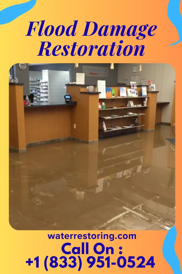 Flood Damage Restoration in Obion, TN
