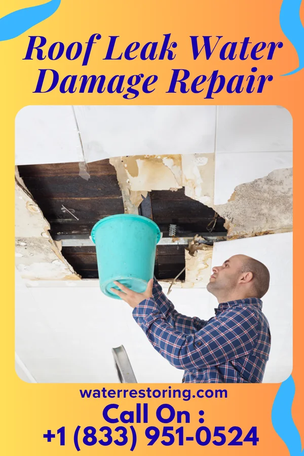 Roof Leak Water Damage Repair in Obion, TN