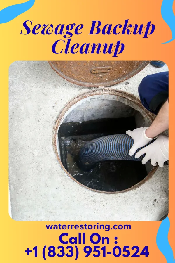 Sewage Backup Cleanup in Obion, TN